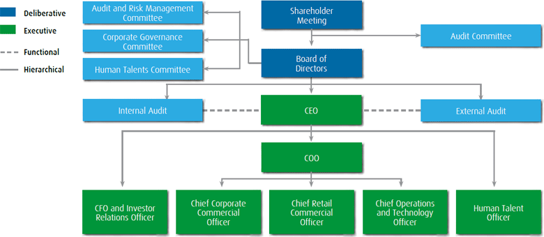 Corporate Governance Structure